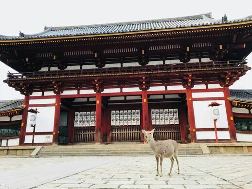 Le temple Todai-ji