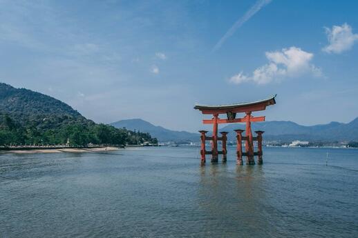 © Unsplash - Steffen Triekels Miyajima, sakura en fleurs