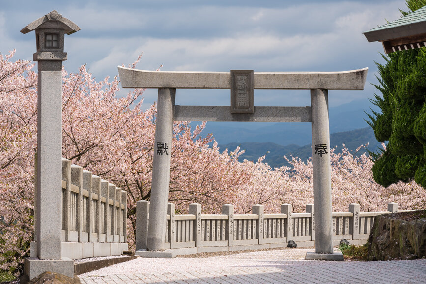 © Shutterstock - Shawn.ccf Ile de Shikoku