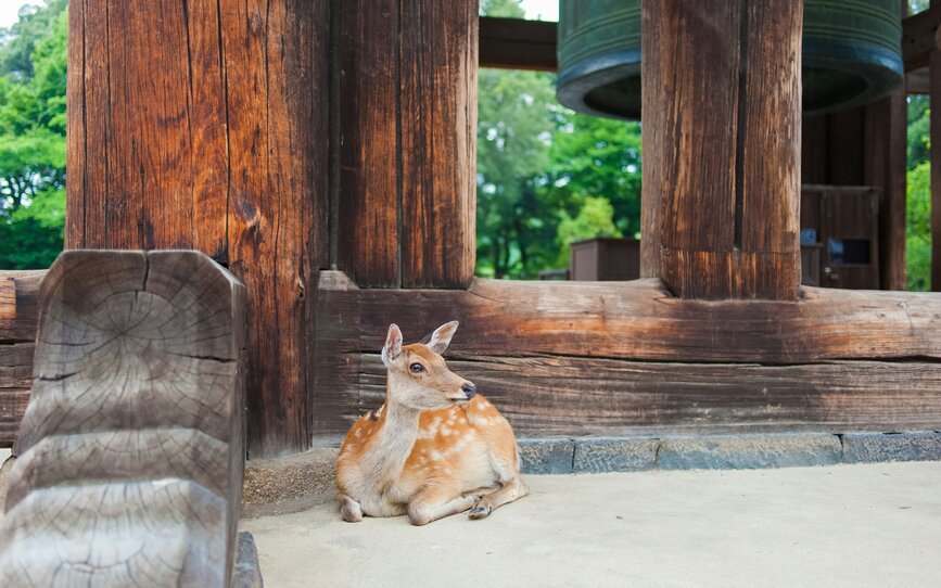© Unsplash - Yux Xiang Nara