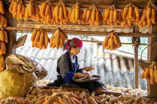 Ethnies Laos