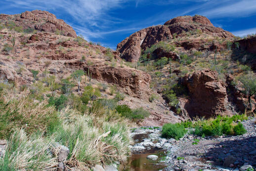 © Shutterstock - Marcel Hamonic Canyon de la Trinidad