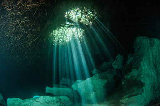 Casa Cenote