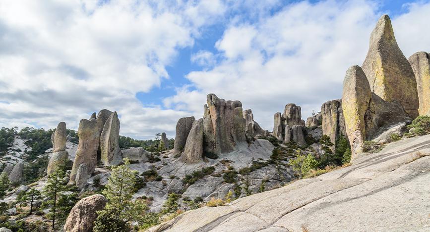 © Shutterstock - Esdelval Creel