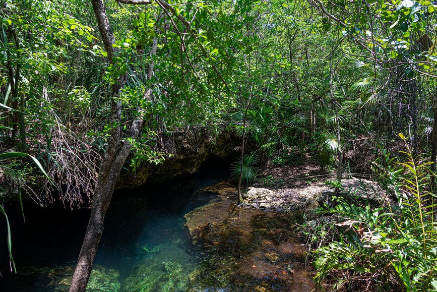 © Shutterstock - Mardoz Cenotes de Chemuyil