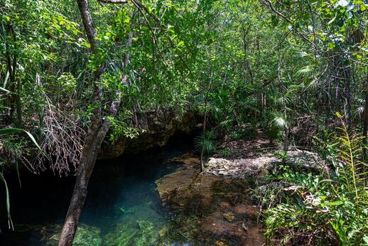 Cenotes de Chemuyil