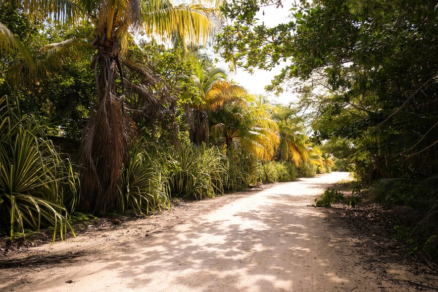 © Unsplash - Alev Takil Haciendas du Yucatan : l’or vert du Yucatan