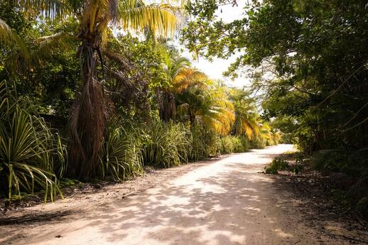 Haciendas du Yucatan : l’or vert du Yucatan