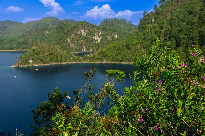 © Unsplash - Roger Ce Parc des Lagunes de Montebello