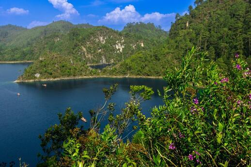 © Unsplash - Roger Ce Parc des Lagunes de Montebello