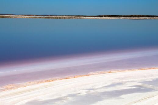 Saline