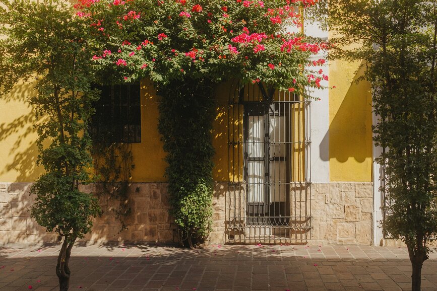 © Unsplash - Arturo Esparza Tlaquepaque