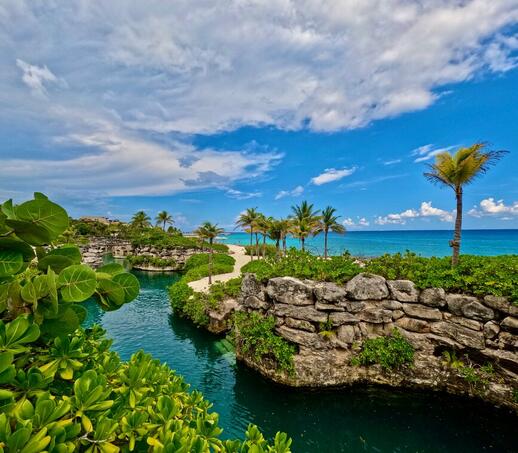 XCaret