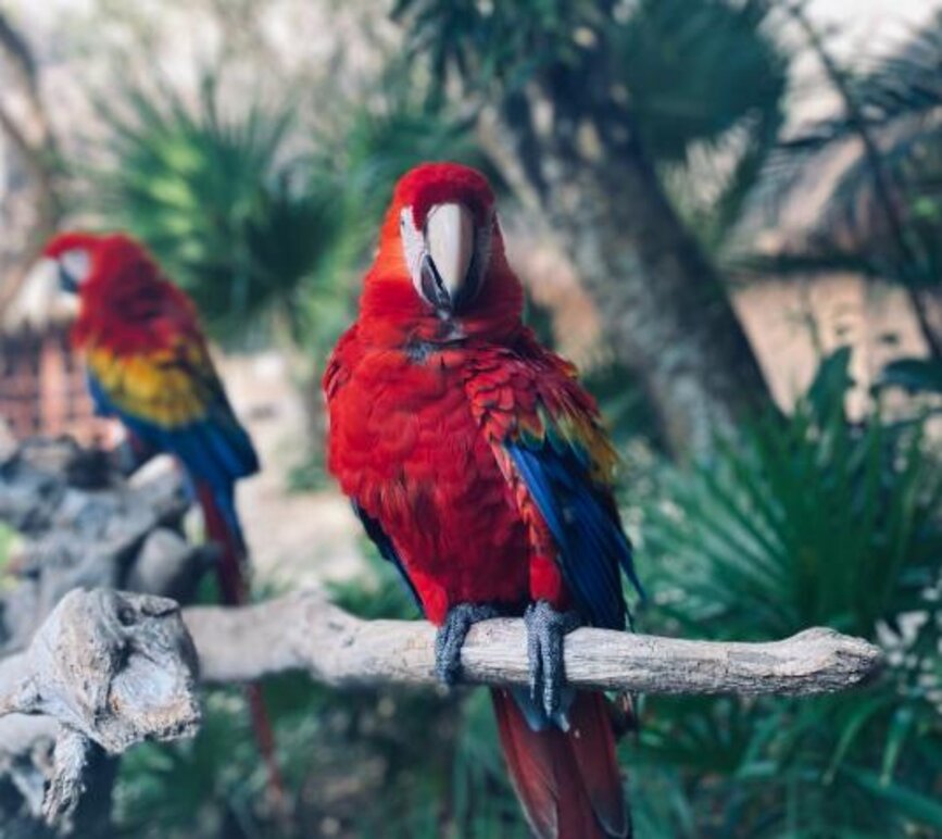 © Unsplash - Francisco Découvrez Xel-Ha
