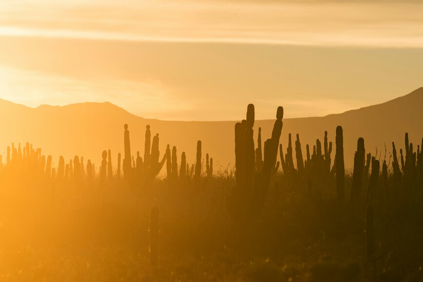 © Unsplash- Marcus Woodbridge Guerrero Negro