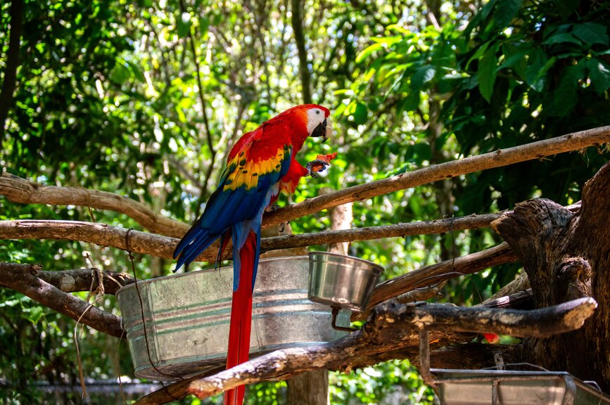 © Unsplash- Crisoforo Gaspar Hernandez Palenque