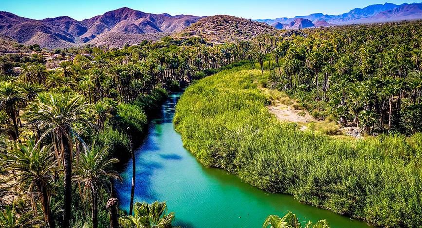 © Shutterstock - Kylie Nicholson San Ignacio