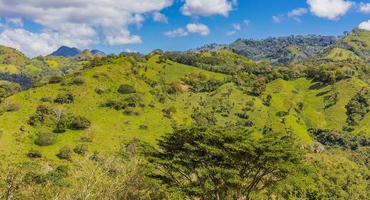 Esteli