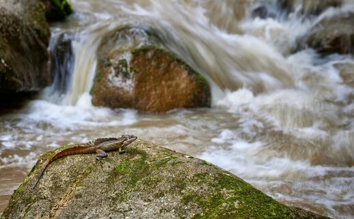 © Unsplash - Zdeněk Macháček Cascades del Chorro Las Mozas
