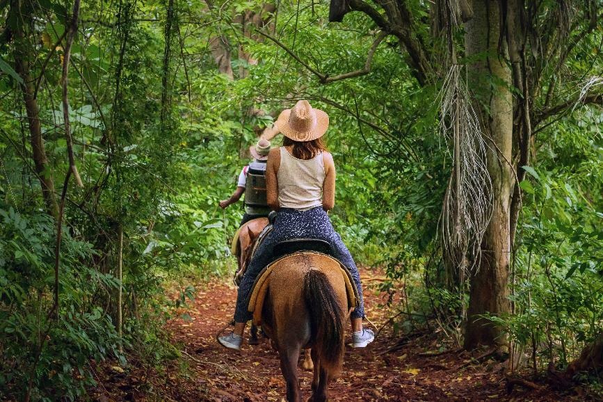 © Shutterstock - Beliphotos Randonnée à cheval