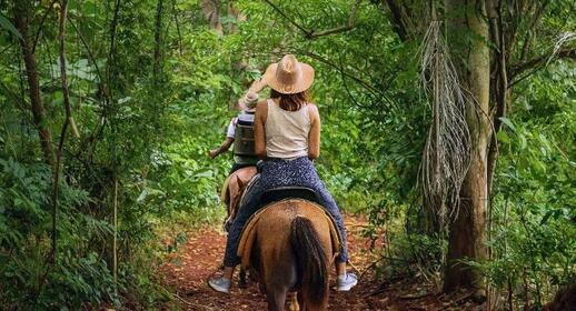 Randonnée à cheval