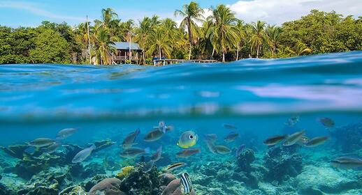 © Shutterstock - Damsea snorkeling au Panama