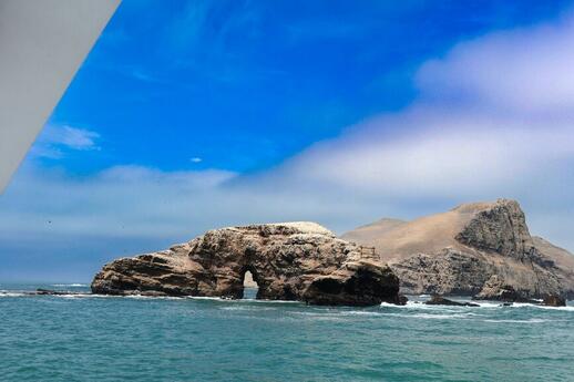 Iles Palomino