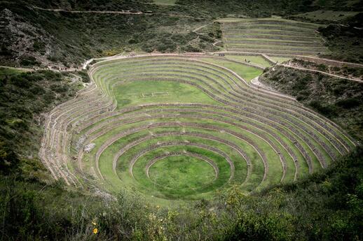 © Unsplash - Willian Justen de Vasconcellos Moray