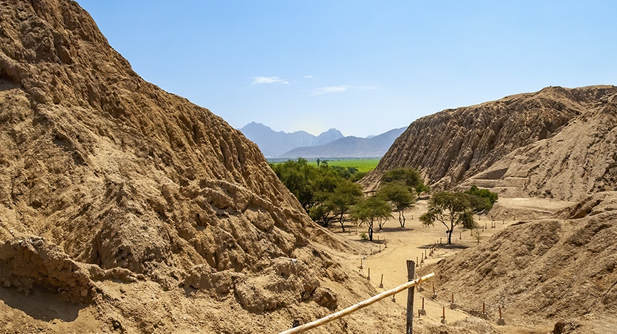 © Shutterstock - Barbara Ash Chiclayo