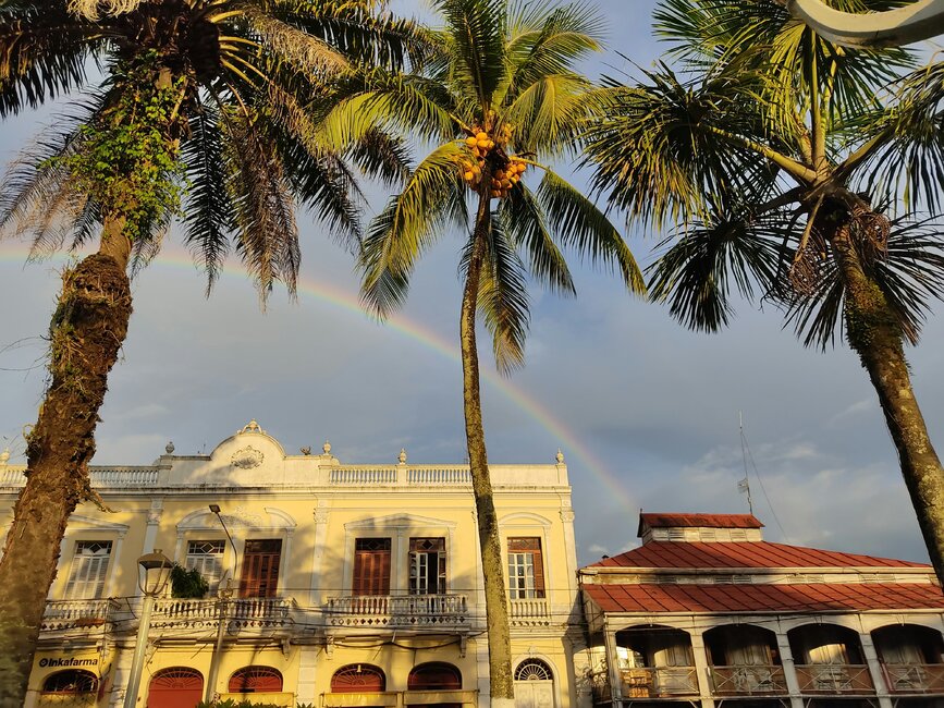 © Unsplash- Flor de Lucia Iquitos