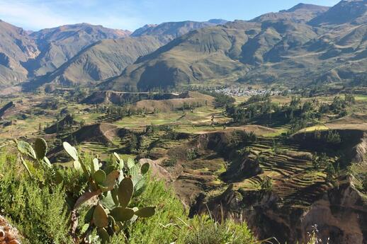 Canyon de Colca