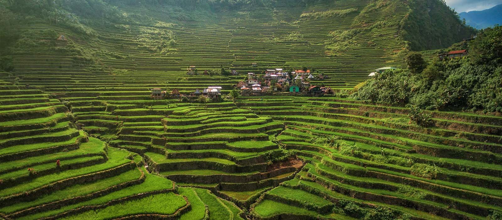 Rizières de Batad aux Philippines