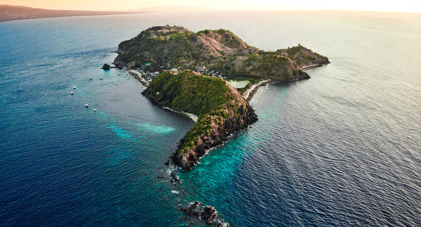 Apo Island aux Philippines