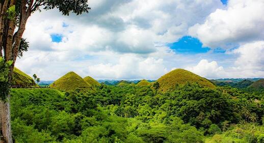 Chocolate Hills