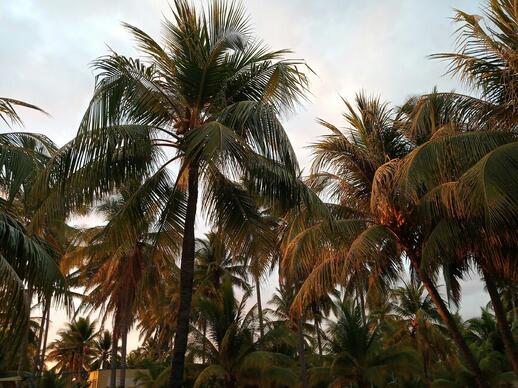 © Unsplash - Luis Rodriguez La Costa del Sol
