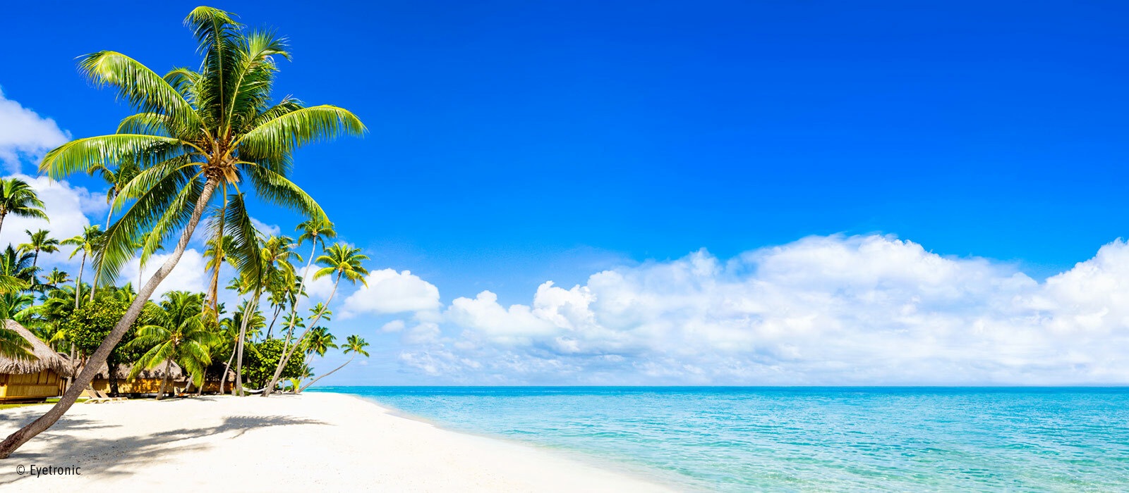 sri lanka maldives : les perles de l'océan indien