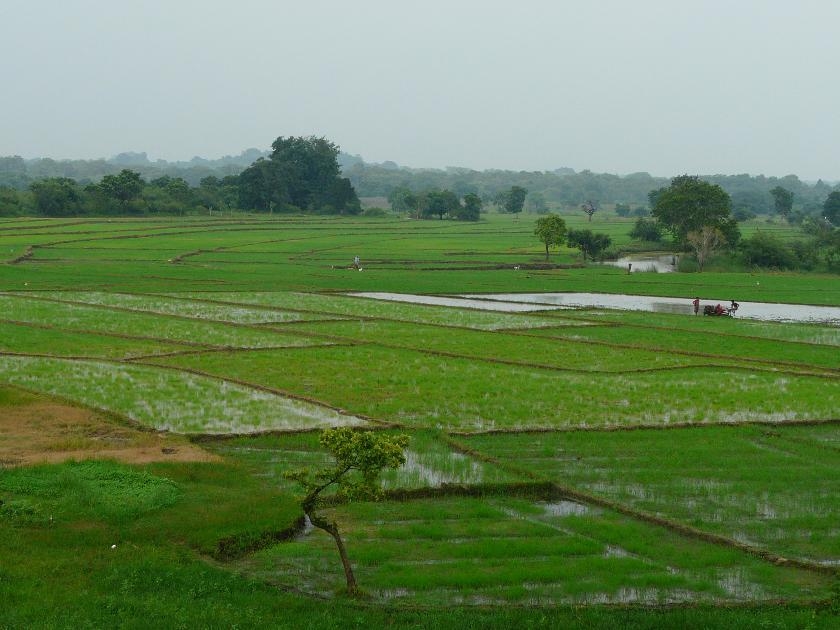 © Altiplano Voyage Ferme agricole de Kuda Oya