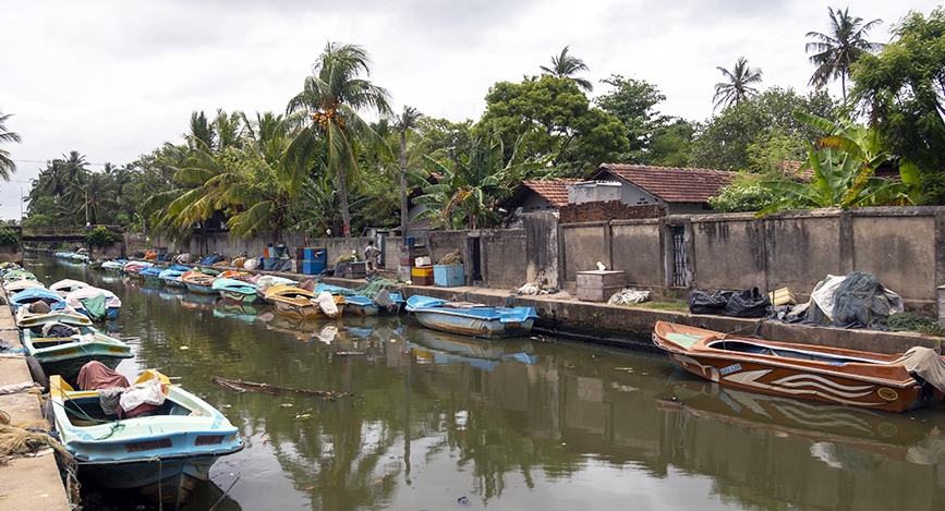 © IStock - pidjoe Navigation sur le lagon de Muthurajawela