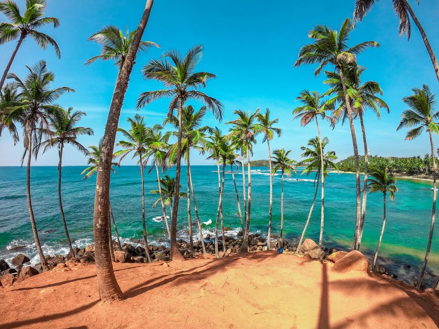 © Unsplash - Dinuka Lankaloka Plage de Mirissa sur la Côte Sud du Sri Lanka
