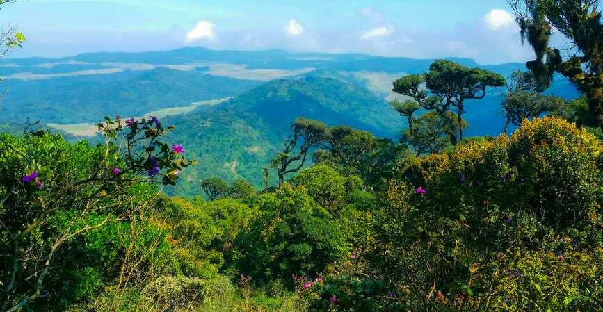© Unsplash - Ishan Kahapola Arachchi Parc national Horton Plains