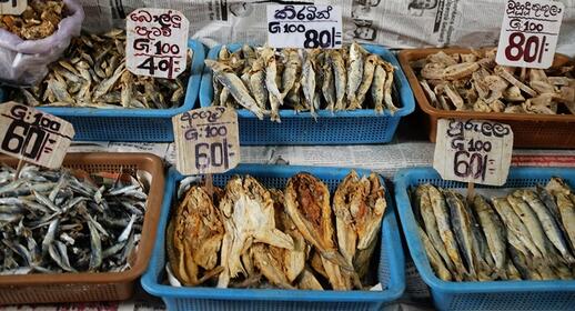 Marché aux poissons de Chilaw