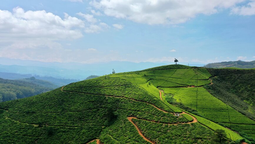 © Unsplash- Juho S Ville de Nuwara Eliya