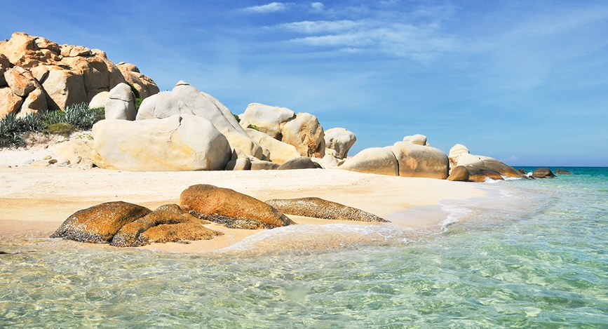 © IStock - VuCongDanh Ile de la baleine