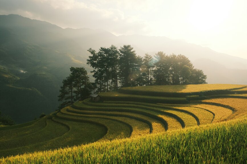 © Unsplash - Vu Thang Mu Cang Chai