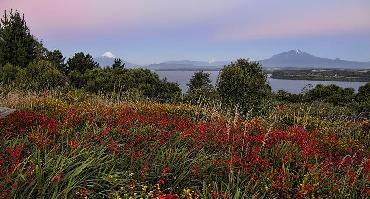 Voyage Chili : Visiter Puerto Varas