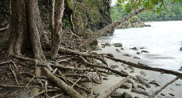 Visiter Parc National Manuel Antonio