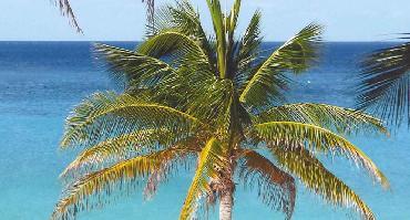 Visiter Cayo Jutias