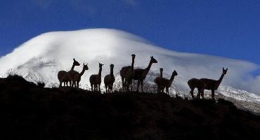 Voyage Equateur : Visiter Riobamba