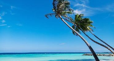 Visiter Cayo Sapotillo (Belize)