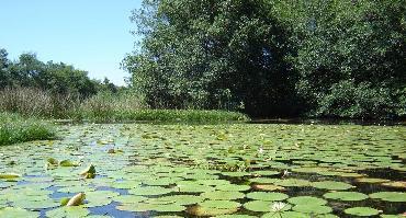 Visiter Navigation sur le Rio Dulce